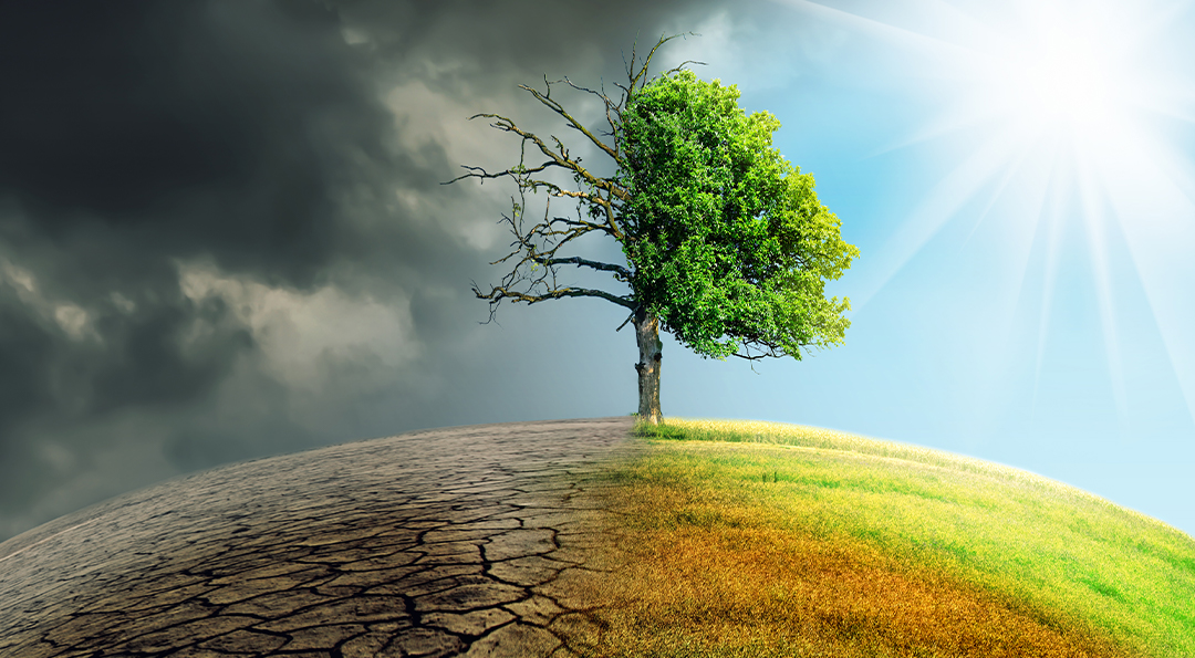 환경의 변화가 하루의 리듬을 바꾸는 방식